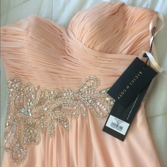 Bicici & Cory light pink prom dress size 2! - Picture 4 of 4